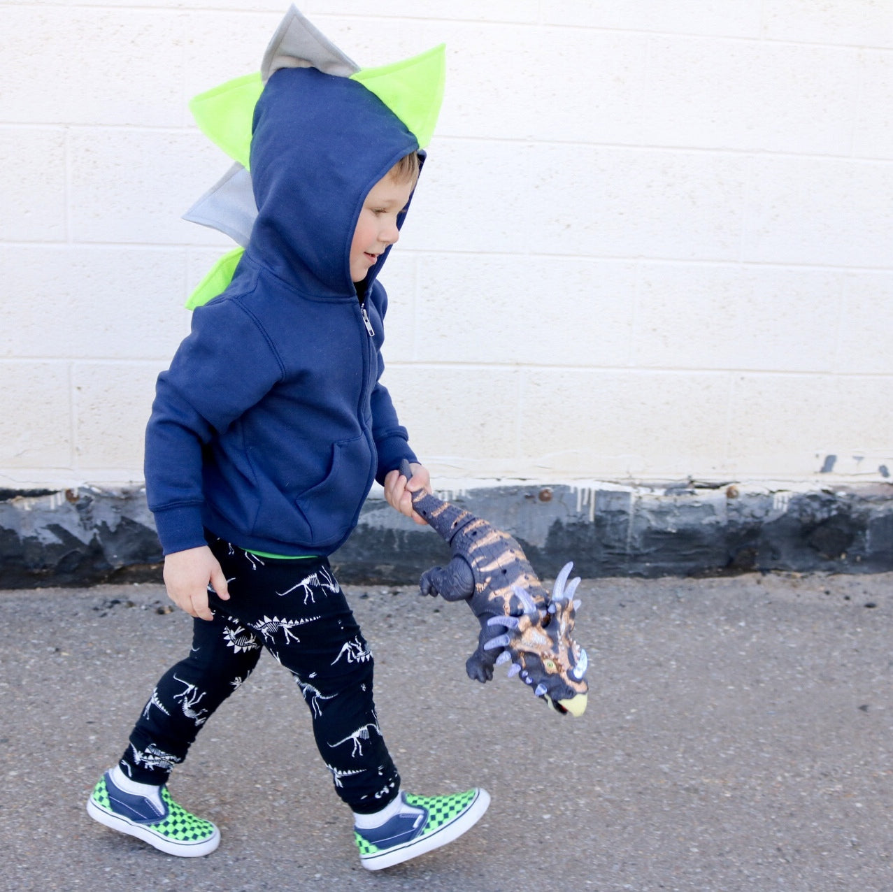 Toddler Boy Dinosaur Hoodie - Seahawks Style