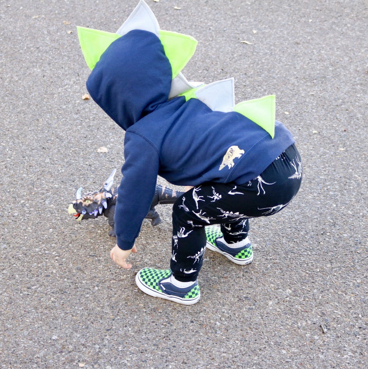 Toddler Boy Dinosaur Hoodie - Seahawks Style