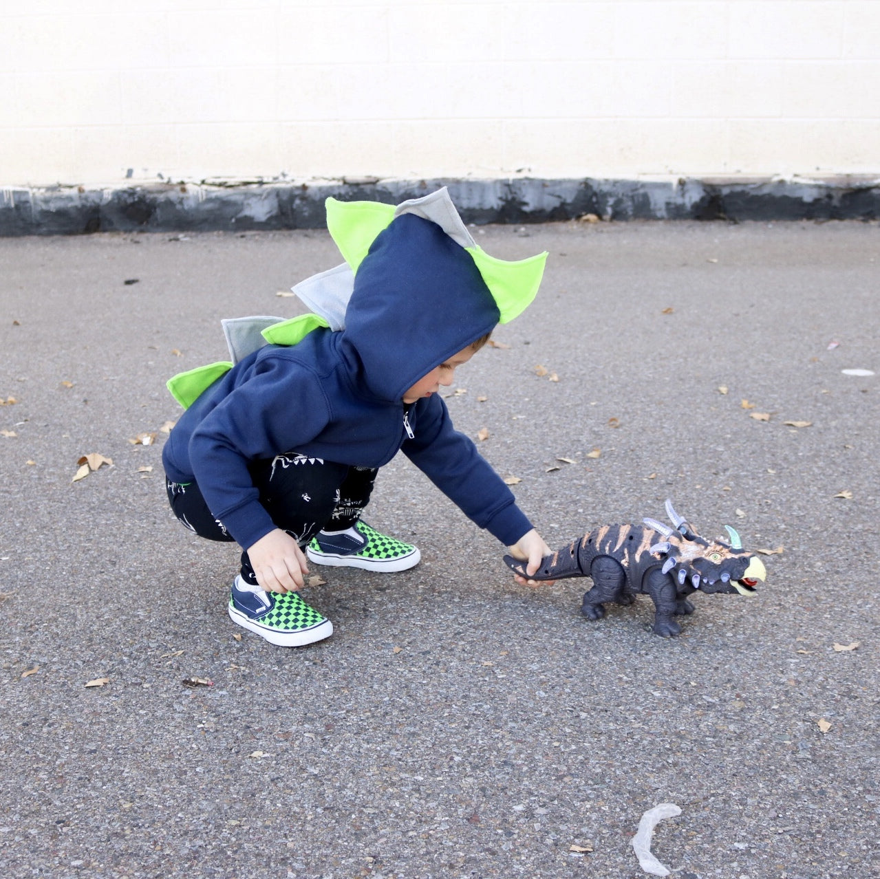 Toddler Boy Dinosaur Hoodie - Seahawks Style