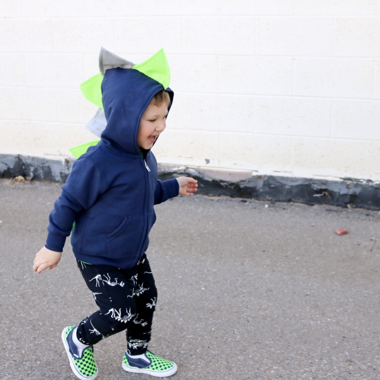 Toddler Boy Dinosaur Hoodie - Seahawks Style