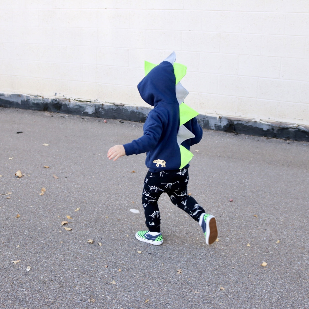 Toddler Boy Dinosaur Hoodie - Seahawks Style